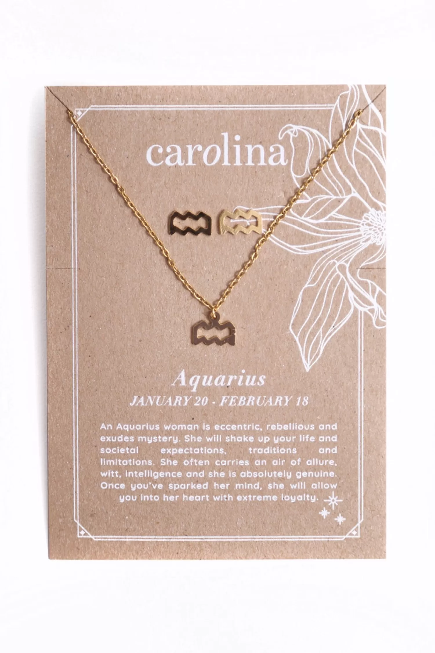 Carolina Necklaces*Aquarius Zodiac Necklace & Earring Set