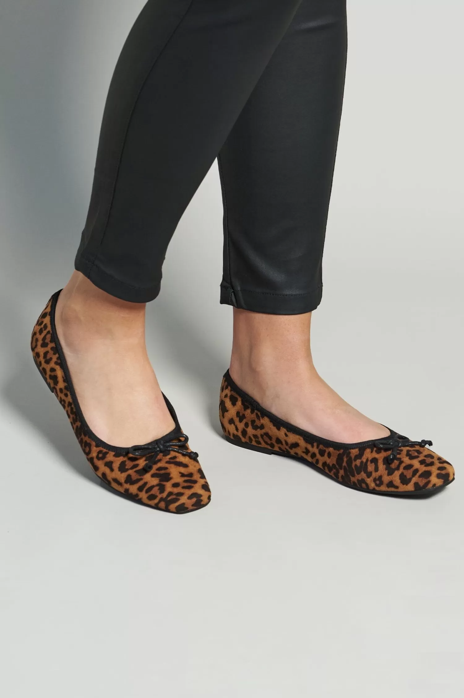 Carolina Flats & Loafers*Lenora Ballet Flats Animal Print